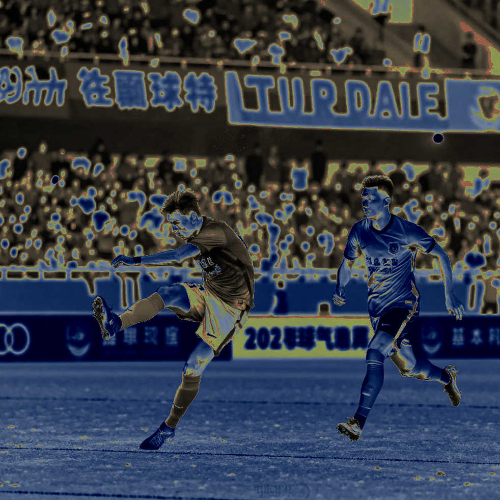 Money After the V.League Trophy: Nam Định Won on a Balance Sheet Money After the V.League Trophy: Nam Định Won on a Balance Sheet