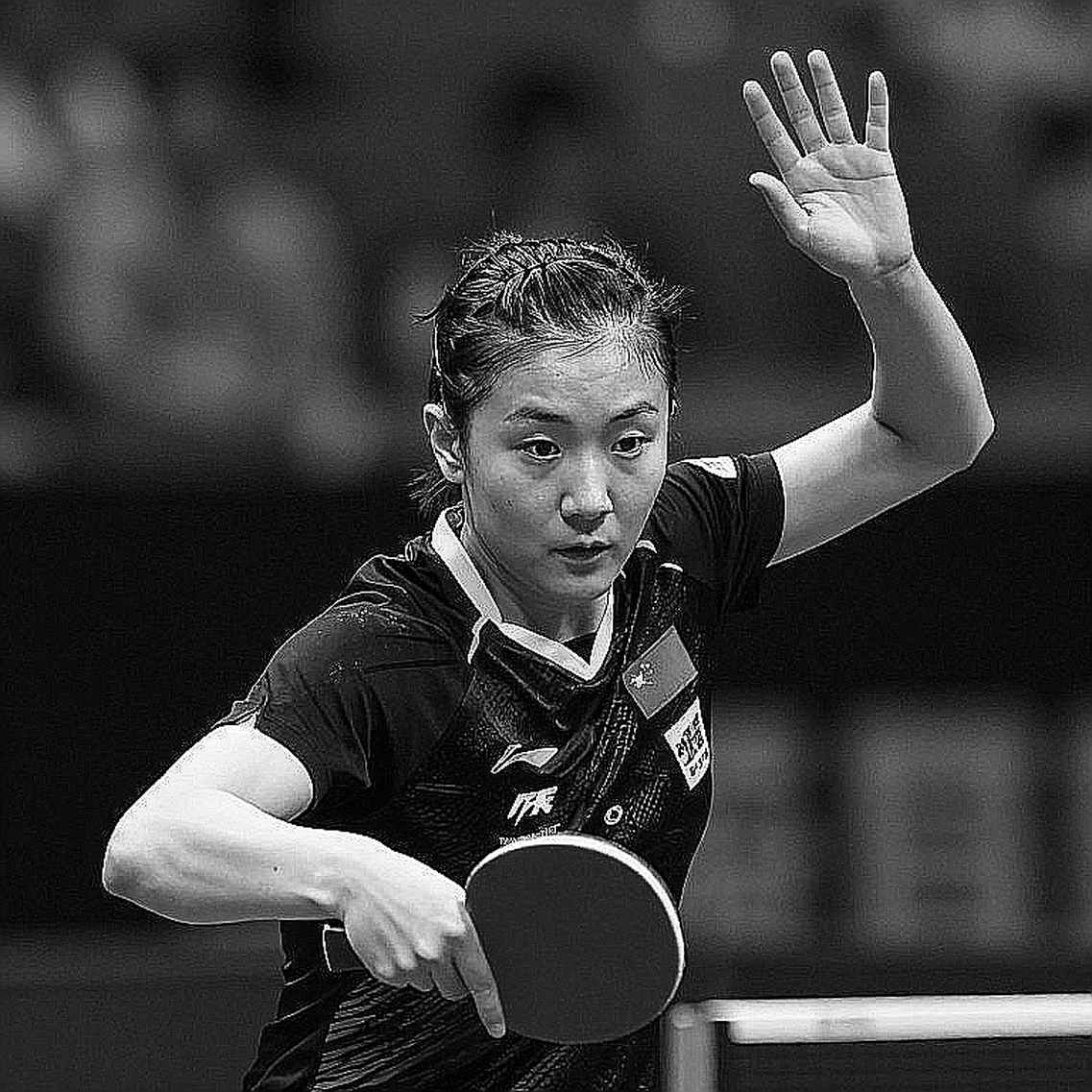 118 giải, 6 ngày, một tấm vé: US Open 2026 và bài toán dữ liệu bóng bàn Mỹ 118 giải, 6 ngày, một tấm vé: US Open 2026 và bài toán dữ liệu bóng bàn Mỹ