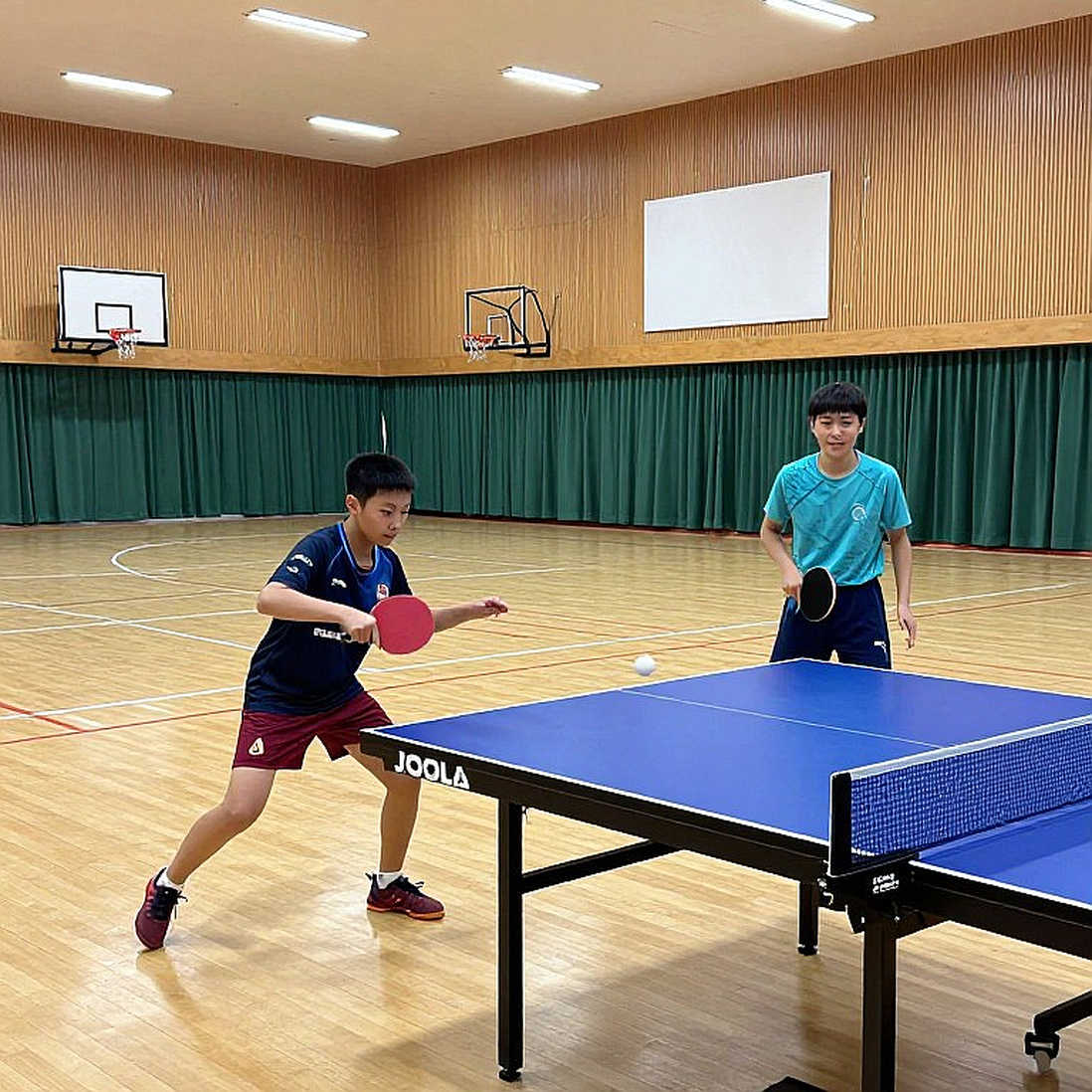 Bóng bàn thế giới năm 2026: Một năm không có nhà vô địch thế giới Bóng bàn thế giới năm 2026: Một năm không có nhà vô địch thế giới