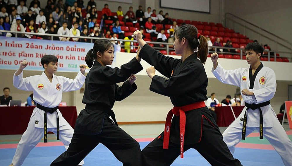Bản phân tích trống và cái giá của dữ liệu chưa kiểm chứng trong võ thuật Việt Nam Bản phân tích trống và cái giá của dữ liệu chưa kiểm chứng trong võ thuật Việt Nam